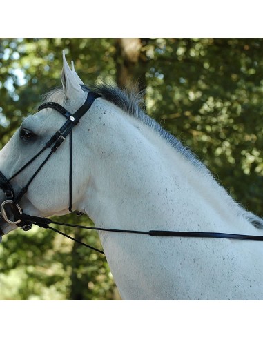 Riendas Dressage Dyon Hunter sin Topes