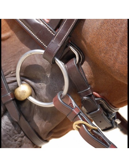 Dyon Classic Single Bridle with Combination Noseband