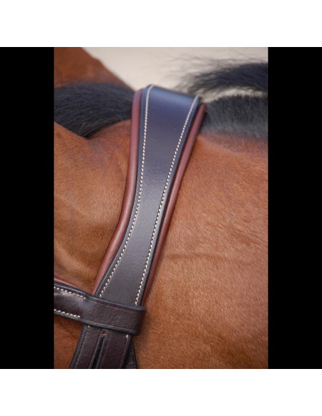 Dyon Classic Single Bridle with Combination Noseband