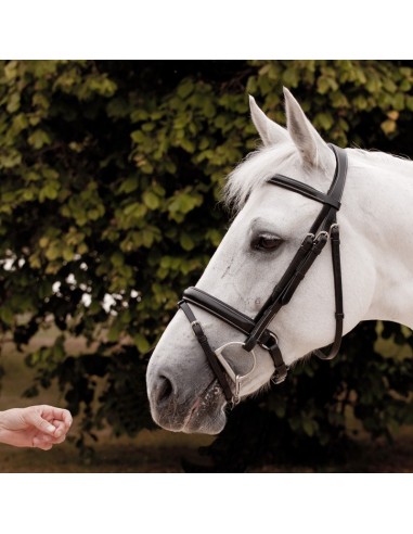 Dyon Classic Single Bridle with Combination Noseband