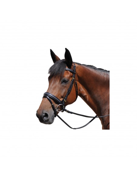 Privilege Bombé Carré Simple Bridle