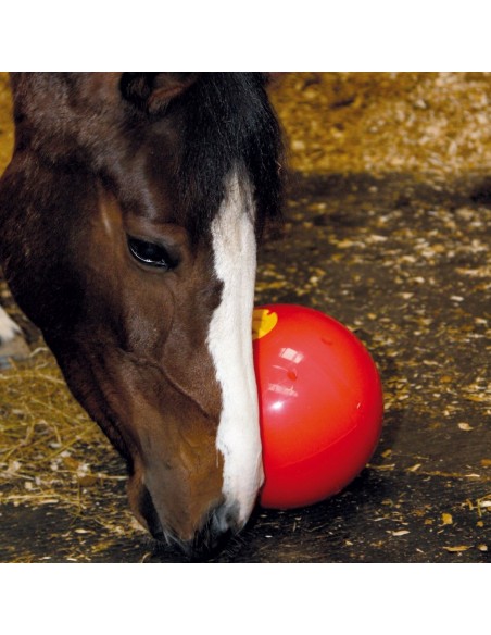 Likit Snak-A-Ball Waldhausen