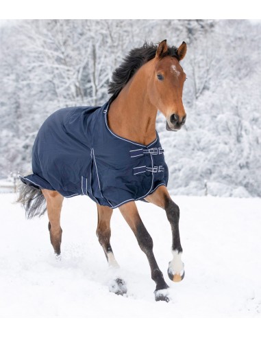 Economic Light Waterproof Outdoor Horse Rug 0g