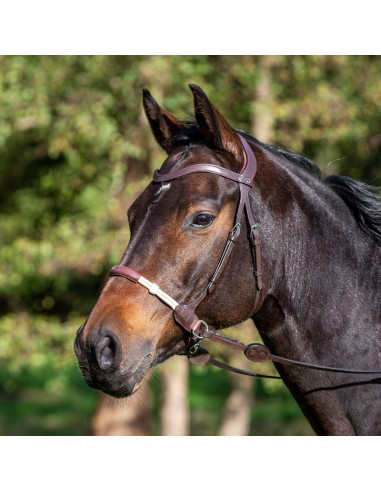 La Cense Collection Dyon Bitless Bridle