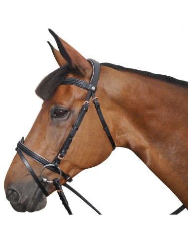 Canter RoseGold Snaffle Bridle with Rubber Reins