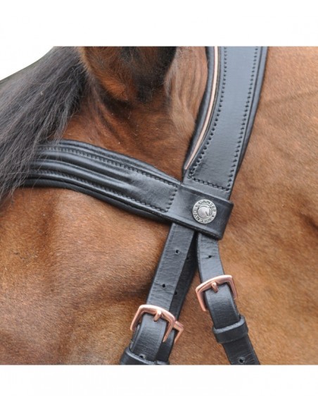 Cabezada Simple Canter RoseGold con Riendas de Goma