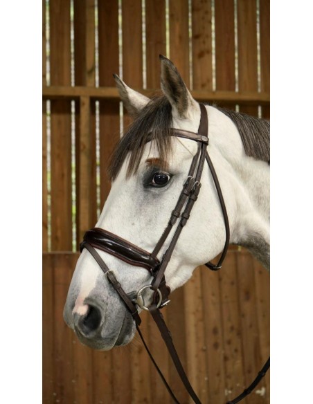 Dyon Working Collection Patent Large Crank Noseband Bridle