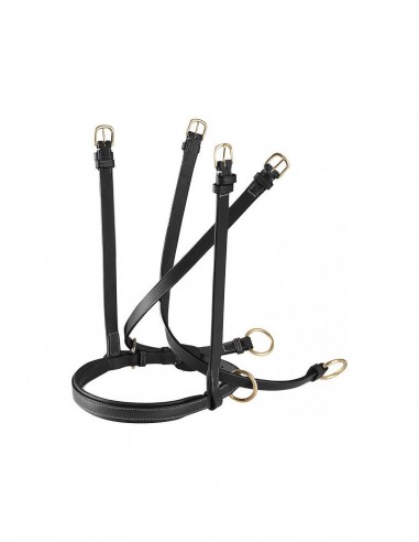 Crossed System Bitless Noseband Eric Thomas