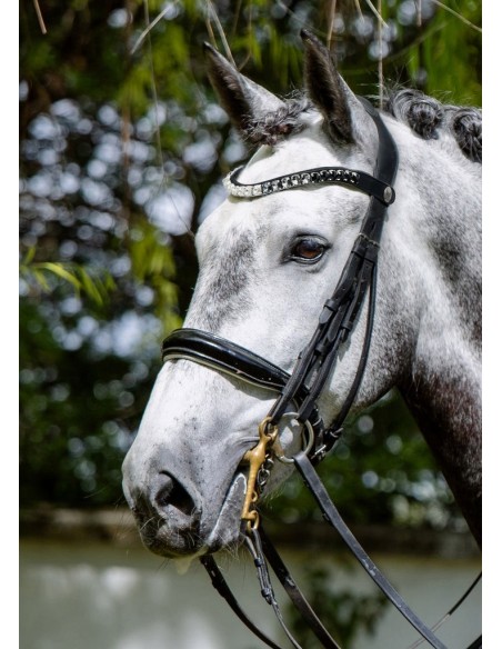 EasyClick Crystal Browband