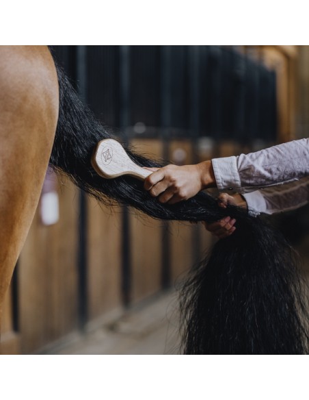 Cepillo Especial para Crin Grooming Deluxe’s