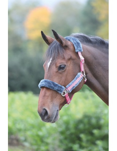 Cabezada de Cuadra con Borrego Stripe