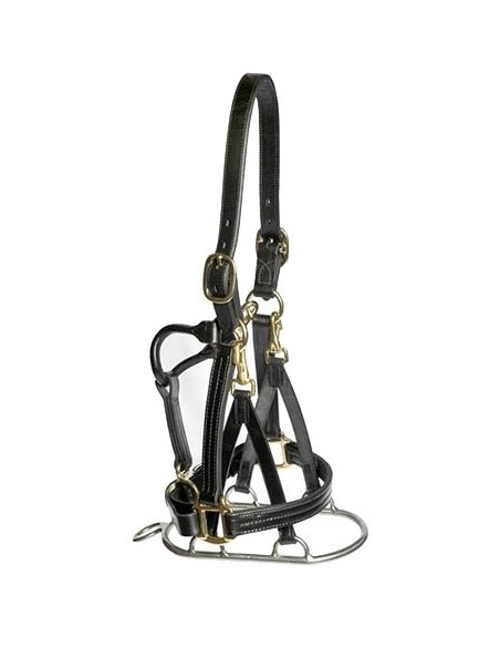 One Control Walking Noseband for Hot Horses