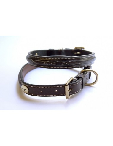 Collar de Cuero para Perro Dyon Fancy