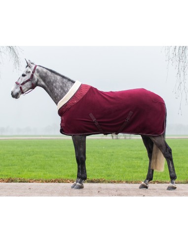 QHP Brilliance Fleece Rug