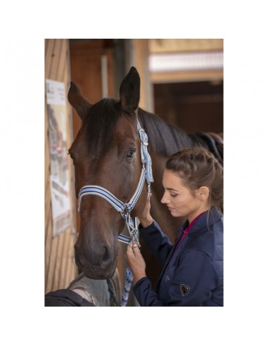 Equithème Ligne Stable Bridle