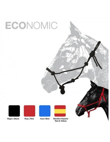 Economic Knotted Stable Bridle