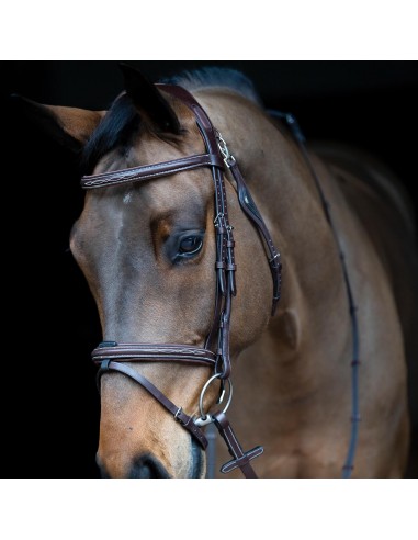 Equiline Ready To Ride Snaffle Bridle