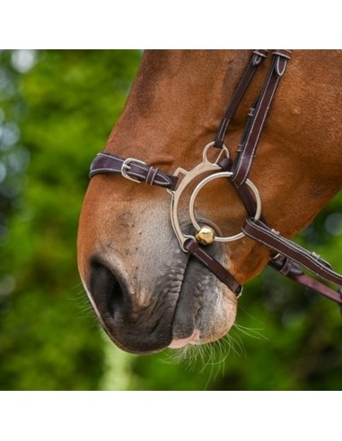 Muserola Hackamore Jump In