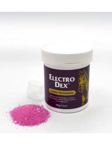 Electro Dex Powder Electrolytes