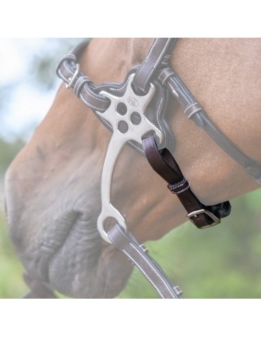 Jump In Leather Curb Chain for Hackamore