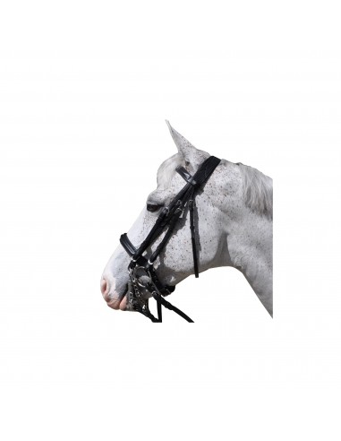 Flags&Cup Bridle Hagen