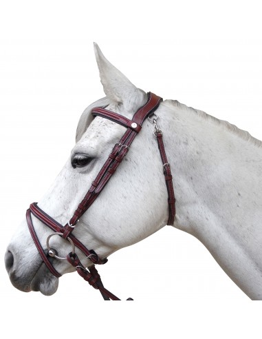 Flags&Cup Lanaken Snaffle Bridle