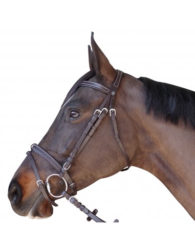 Canter Flat Doublé Snaffle Bridle