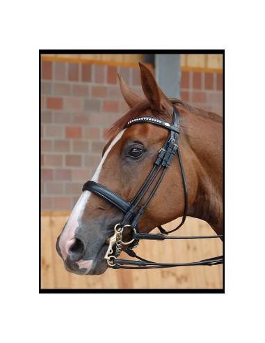 Double Bridle Dyon Dressage Bit...