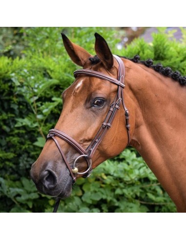 Jump'In Paris Plain Bridle