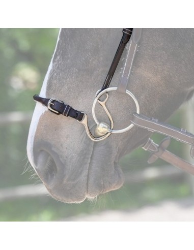 Jump'In Kineton Noseband