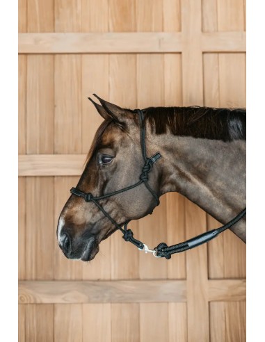 Dyon Knot Headcollar