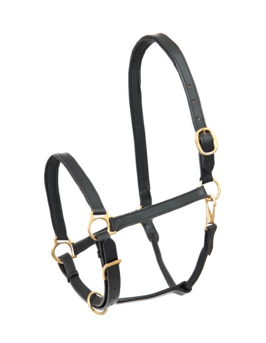 Waldhausen STAR Robust Leather Bridle