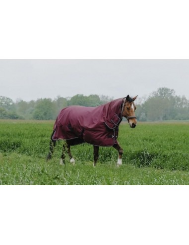 Equithème Tyrex 200gr Combo Outdoor Rug