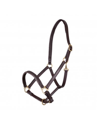 Velociti Gara Leather Stable Headcollar