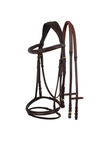 Supreme Contrast Simple Bridle