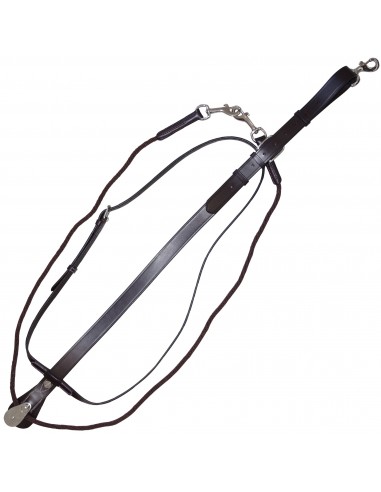 Canter Howlett Martingale with Rope