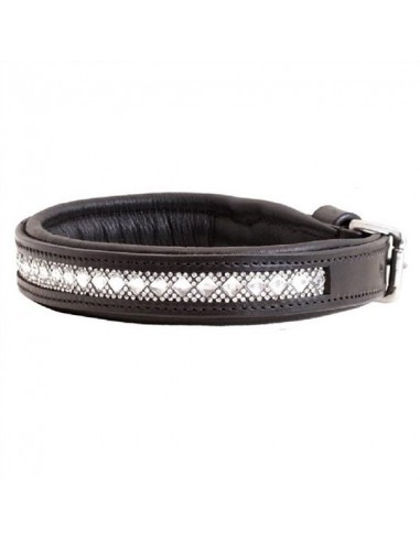 Leather Dog Collar SD Design