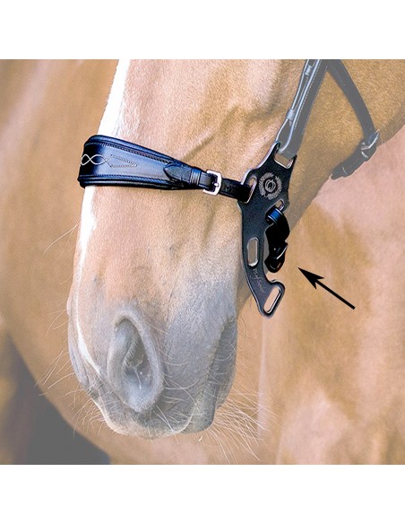 LEATHER LOWER STRAP FOR HACKAMORE