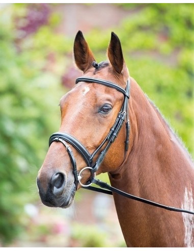 Cabezada Simple Rossano Dressage con Riendas