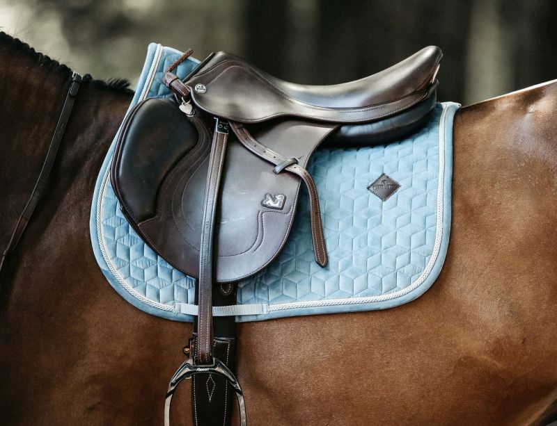 horse bridles online